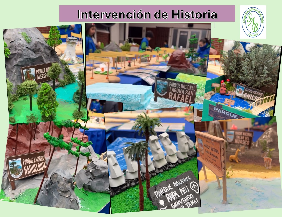 Miniatura 36